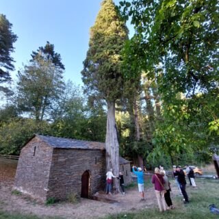 Camino de Santiago Fresco Tours