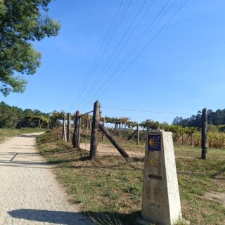 Camino de Santiago Tour Fresco Tours 