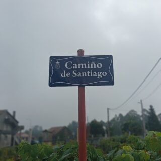 Camino Portugues 