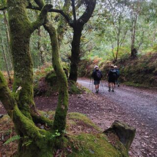 Camino de Santiago Tour Fresco Tours 