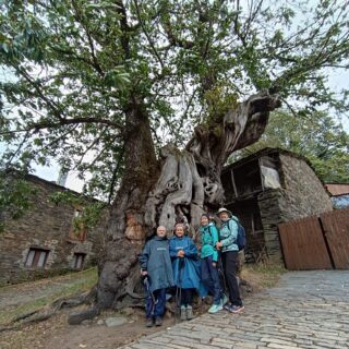 Camino de Santiago Tour Fresco Tours 