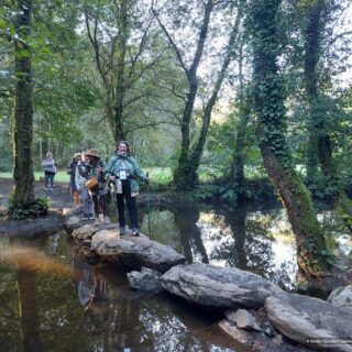 Camino de Santiago Tour Fresco Tours 