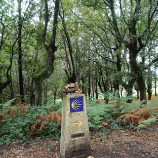 Camino de Santiago Tour Fresco Tours