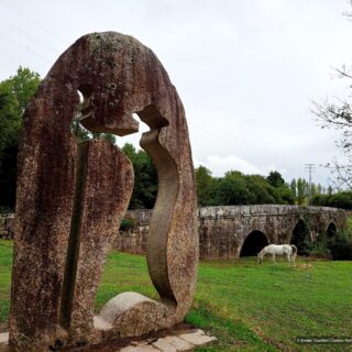 Camino Portugues 