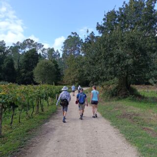 Camino portuguese guided tour