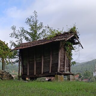 Camino portuguese guided tour