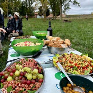 Camino Frances route