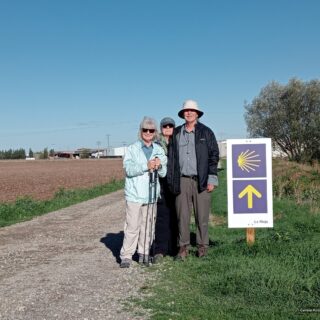 Camino Frances route