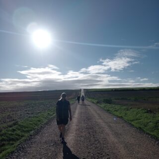 Camino Frances route