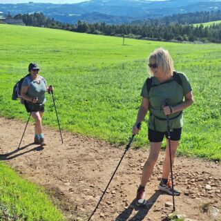 Camino Frances route