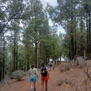 Camino de Santiago Gran Canary Island