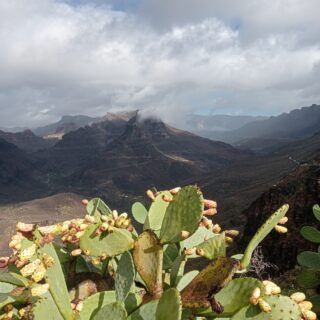 Camino de Santiago Gran Canary Island