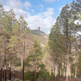 Camino de Santiago Gran Canary Island