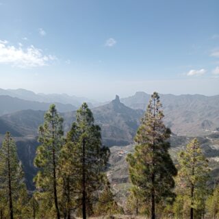 Camino de Santiago Gran Canary Island