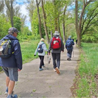 Camino de Santiago Tours Fresco Tours