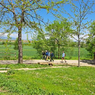 Camino de Santiago Tours Fresco Tours