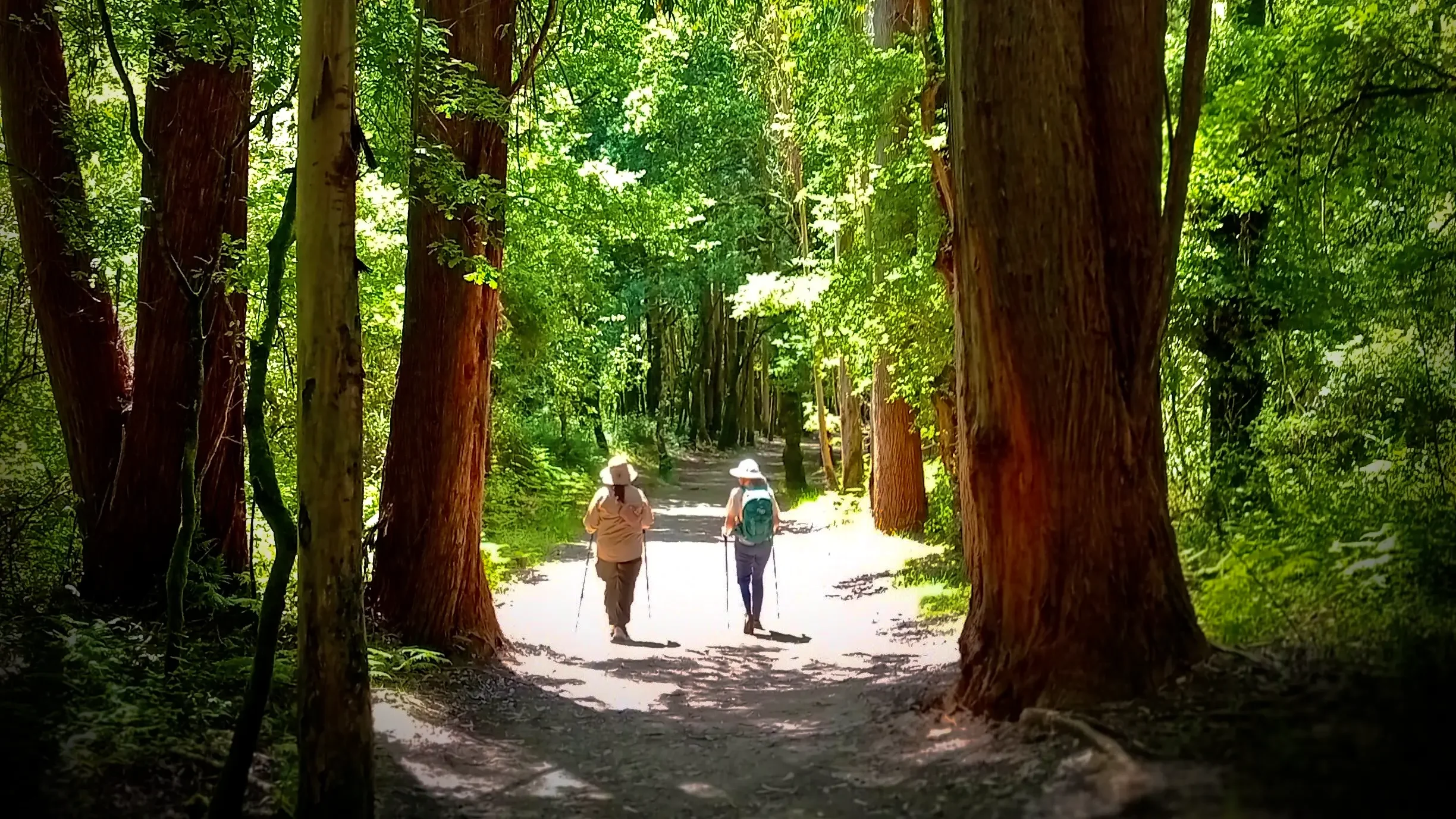 The Ultimate Guide to the Camino: Tips and Tricks