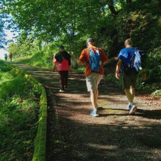 Camino de Santiago Fresco Tours