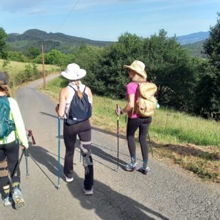 Camino de Santiago Fresco Tours