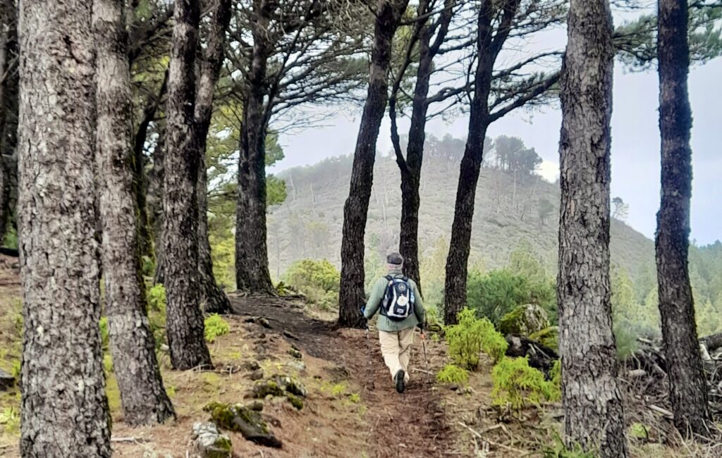 The Camino de santiago on Gran Canaria