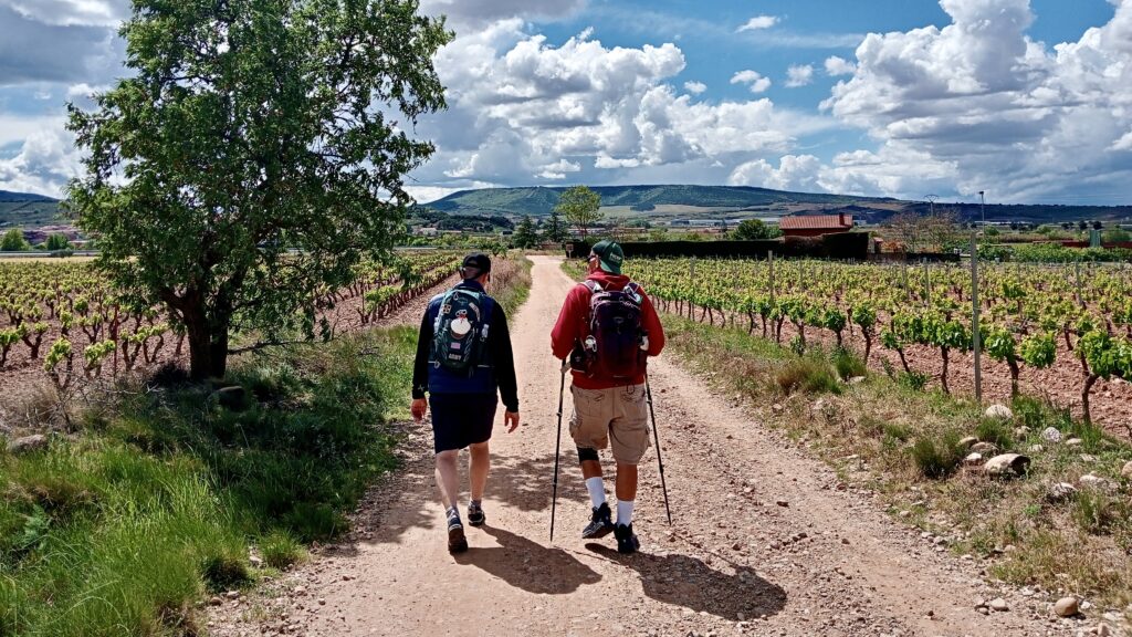 Rioja Wine Country on The Way: Chapter 2