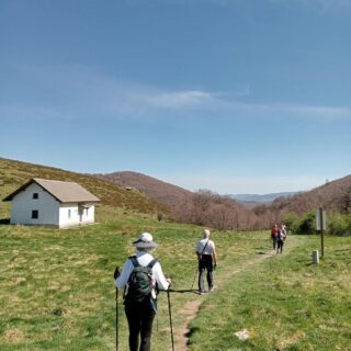 Camino de Santiago Fresco Tours