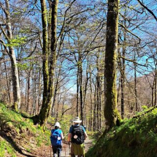 Camino de Santiago Fresco Tours