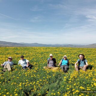 Camino de Santiago Fresco Tours