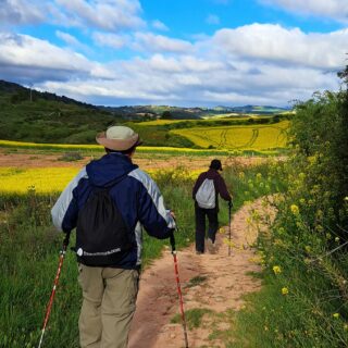 Camino de Santiago Fresco Tours