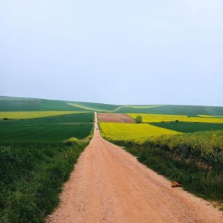 Camino de Santiago Fresco Tours