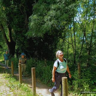 Camino de Santiago Portugués Fresco Tours