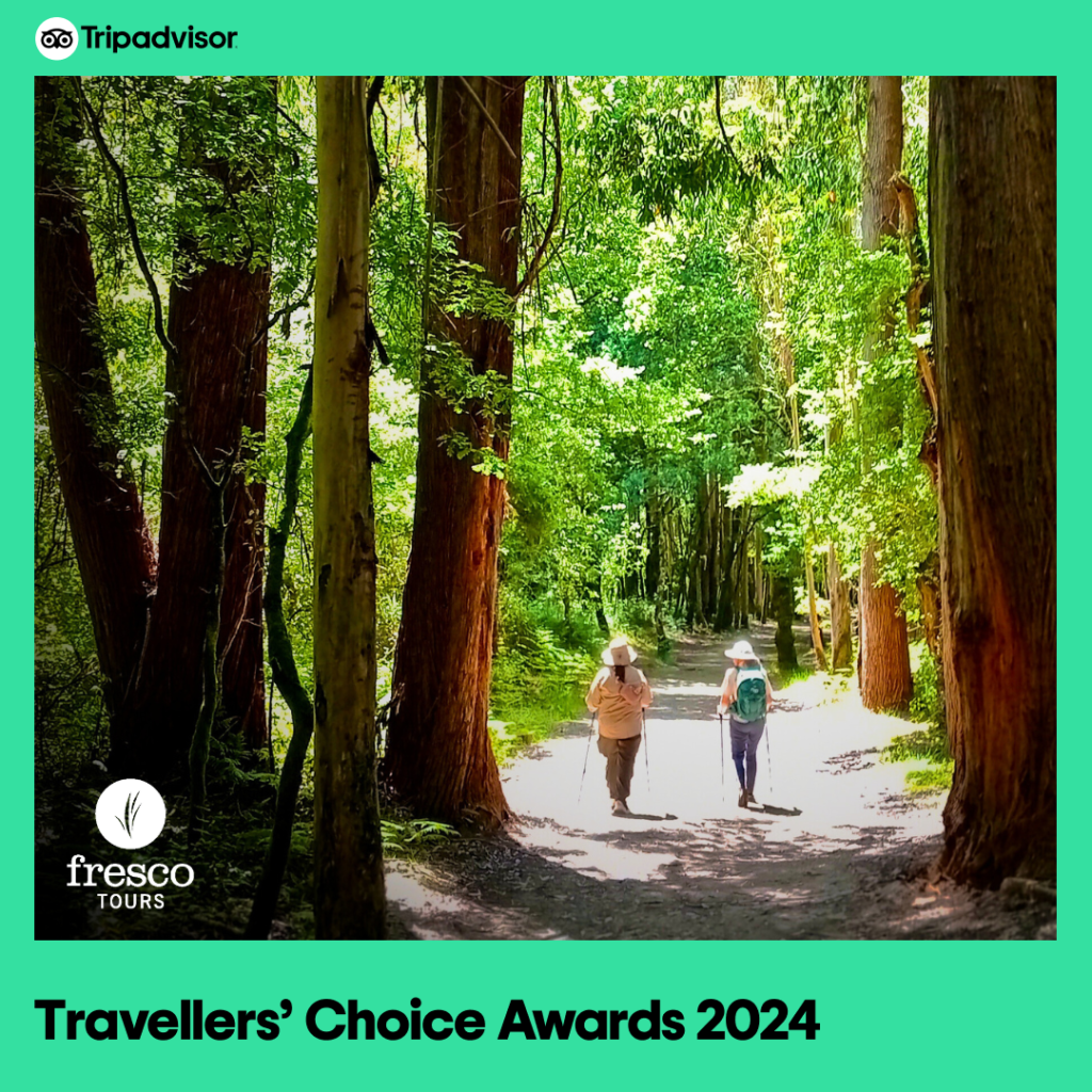 Tripadvisor Travelers’ Choice Award 2024