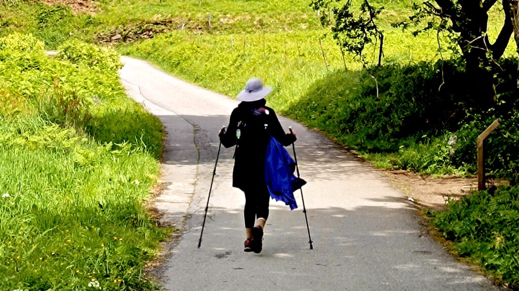 Self-Guided tours on the Camino de Santiago