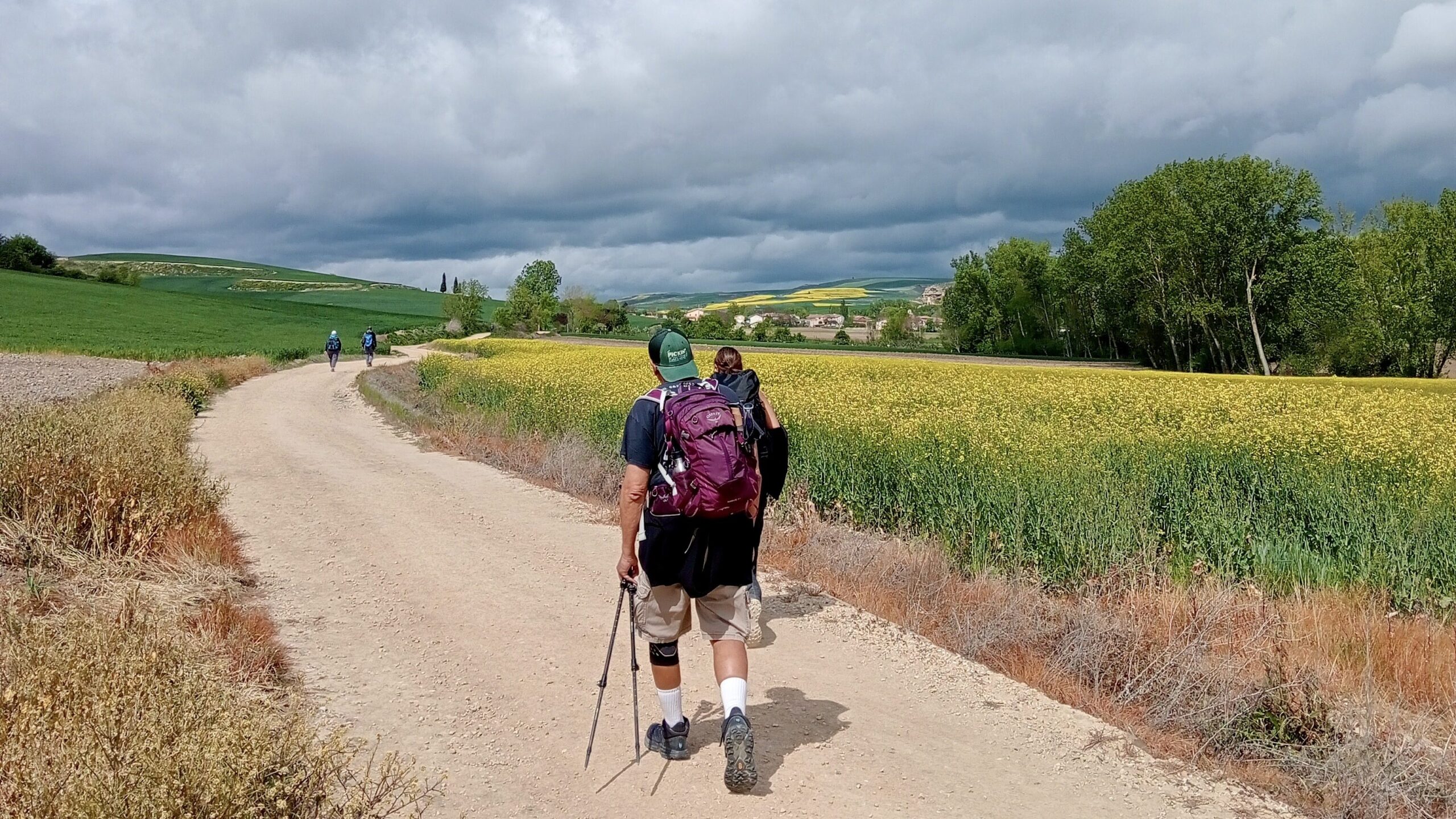 The Camino in La Rioja