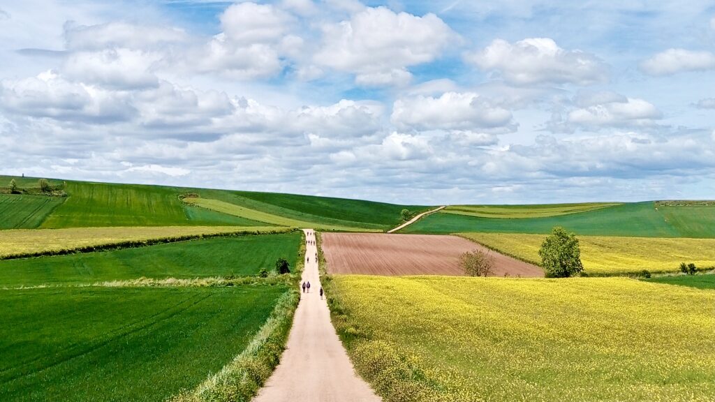 The Camino de Santiago with Fresco Tours.