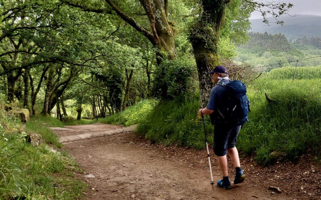 The Camino de Santiago in Galicia.