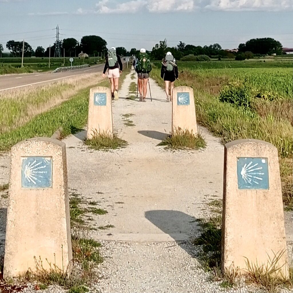 The trail to Carrión de los Condes.