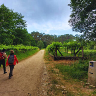 Camino de Santiago Fresco Tours