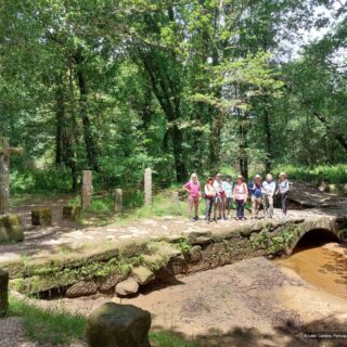 Camino de Santiago Fresco Tours