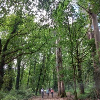 Camino de Santiago Fresco Tours