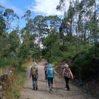 Camino de Santiago Fresco Tours