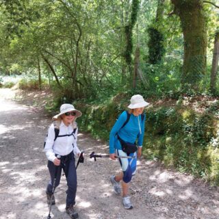 Camino de Santiago Fresco Tours