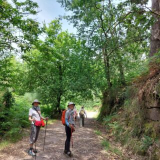 Camino de Santiago Fresco Tours