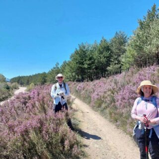 Camino de Santiago Fresco Tours