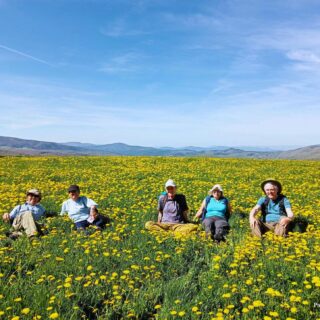 Camino de Santiago Fresco Tours