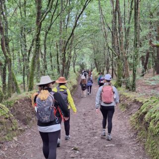 Camino de Santiago Fresco Tours