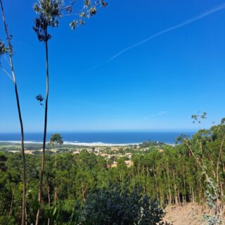 Camino de Santiago Portugal