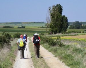 Pilgrims walking the Camino on the Meseta