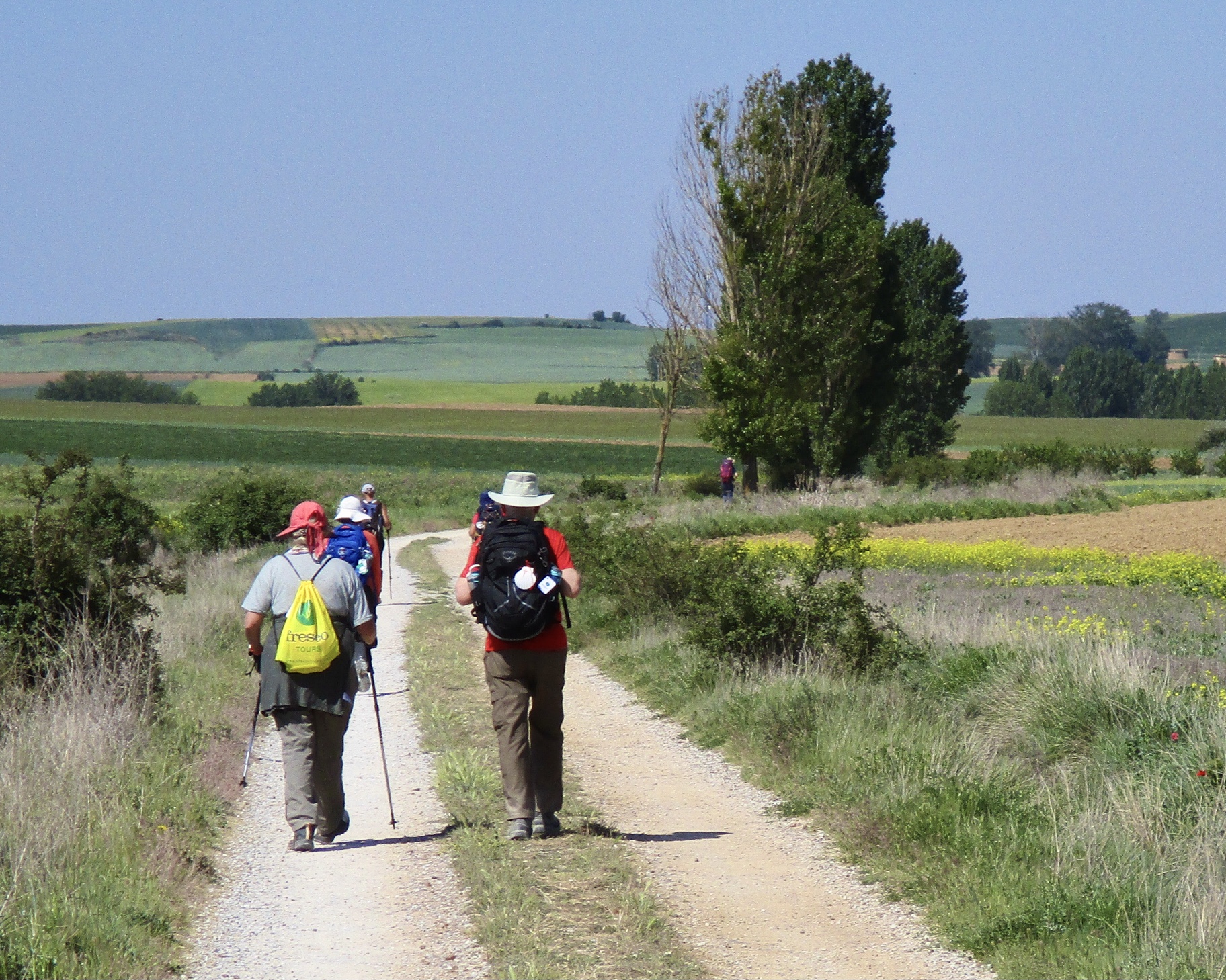 Pilgrims walking the Camino on the Meseta