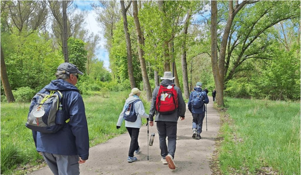 How fit do you have to be to walk the Camino